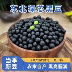 鲜农子 东北绿心黑豆绿芯小黑豆农家自产新货打豆浆专用新豆500g绿芯黑豆