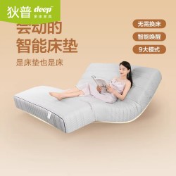 狄普 2026新款一体智能床电动床垫多功能现代简约卧室双人高端床垫