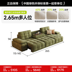 狄普 政府补贴狄普劳伦斯布艺功能沙发猫抓布雪尼尔意式极简客厅沙发