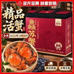 鱻谣 大闸蟹全母2.8-3.1两10只螃蟹足斤足两中秋礼盒清蒸