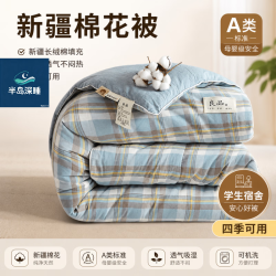 星寇 A类水洗棉新疆棉花被 绅士格 100x150cm