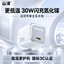 山泽 30W 氮化镓充电器 单头