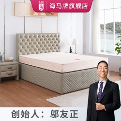 海马牌 BEST乳胶质感一面偏软一面特硬高档凉感抗菌防螨