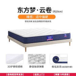 穗宝 乳胶床垫席梦思弹簧家用加厚天然椰棕卷包垫子