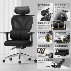 莱克－帝家 人体工学椅子护腰久坐舒适家用办公室办公靠背椅电竞椅座椅电脑椅