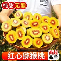 晓晓哥 红心猕猴桃