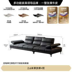 FA SA DI HOUSEHOLD 罗马沙发真皮可调节靠背直排客厅轻奢超深坐宽沙发