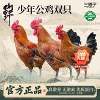 三德子买二赠一散养土鸡农家散养草鸡白切鸡椰子鸡生鲜