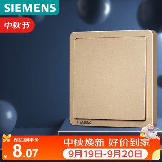西门子 开关面板 一开单控面板 致典日曜金5TA14113NC03