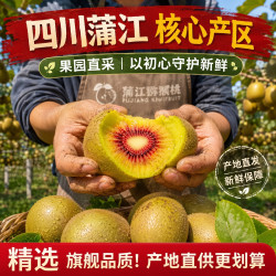 京世泽 蒲江红心猕猴桃24枚（单果60-80g）