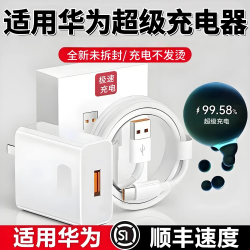 雷珞克 6A Type-C充电线 1.0米*2条