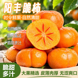 生活＆好管家 山西阳丰脆柿 净重4.5斤 新鲜水果
