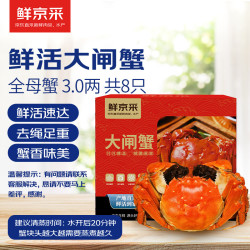 鲜京采 秋之蟹 六月黄鲜活大闸蟹 2.5-2.8两/只 10只礼盒装 现货实物螃蟹 海鲜水产