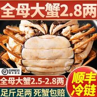 百亿补贴：今旺 鲜活大闸蟹特大螃蟹礼盒现货全母足斤足两顺丰包邮