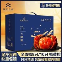 百亿补贴：阳澄·江南 阳澄江南苏州大闸蟹全母鲜活螃蟹2.8-3.1两8只10只礼盒装足斤足两