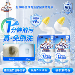 威猛先生 强效洁厕液 丁香型 600gX2瓶