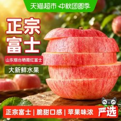 寻天果蔬 山东红富士苹果