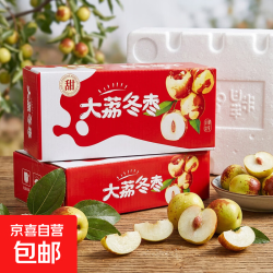 京喜加 正宗冰糖大荔冬枣新鲜脆甜红应季鲜枣 带箱5斤-净重4.6斤 单果12g+14.99元
