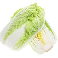 【黑龙江】新鲜大白菜农家黑土地绿色白菜 包邮农家鲜嫩应季白菜