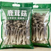 正宗古田鹿茸菇干货炖汤菌菇脆菇煲汤炒菜鹿耳菇