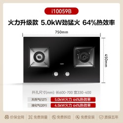 华帝 i10059B 双灶嵌入式燃气灶