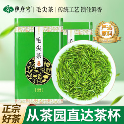 豫春 尖2026新茶明前信阳毛尖手工高山绿茶茶叶送礼自喝河南产原厂