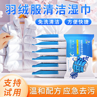 标奇 家用羽绒服清洁湿巾清洁湿巾家用免洗去污衣物干洗污渍LPP-2