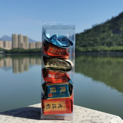 品尝6款不一样的茶叶铁观音 金骏眉 漳平水仙 正山小种大红袍肉桂