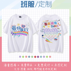 DIY 小学生毕业班服定制t恤短袖幼儿园初中高中生儿童运动会文化衫diy