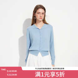 范思蓝恩 温柔风翻领毛针织衫女春2026新款绞花门襟设计感上衣1204 天空蓝 XL