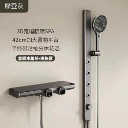 VOPPO沃泊枪灰色升降简易花洒套装无顶喷手持花洒卫生间13263