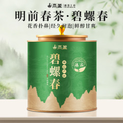 杰盈 绿茶碧螺春春季新茶正宗明前新茶碧螺春浓香型茶叶罐装250g