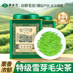 豫春 尖2026正宗信阳毛尖新茶浓香型口粮茶手工毛尖绿茶浓茶茶叶