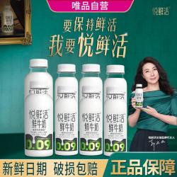 悦鲜活 鲜牛奶更多活性蛋白450mlx2瓶+260mx6瓶