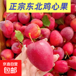 京喜加 正宗东北沙果新鲜现摘酸甜沙果脆孕妇水果东北海棠果东北大沙果 带箱3斤净2.5斤