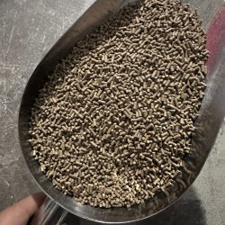 牧佳人 通威原塘打窝颗粒29蛋白水库黑坑野垂钓饵鲫鲤鱼大草鱼127沉饲料