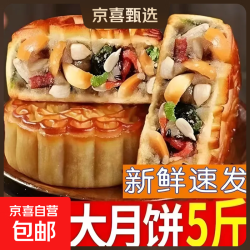 老五仁多口味天然大个五仁月饼中秋月饼独立包装 两种口味混合装 500g