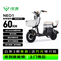 绿源 Neo1 电动自行车 48V20A