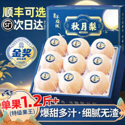 山姆大叔 山东秋月梨 350g+大果 2.5kg