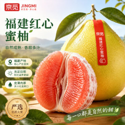 京觅 福建红心蜜柚 4-5斤装柚子 2粒/箱 新鲜水果源头直发