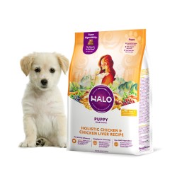 HALO 狗粮幼犬拉布拉多金毛幼狗边牧泰迪比熊 鸡肉味10磅/4.5kg