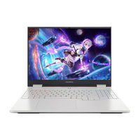 七彩虹 隐星G16 Pro i9-14900HX RTX5080 白色 16GB+1TB 游戏本