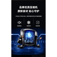 CHIGO 志高 BCD-228DW 冰箱 228L 月光银