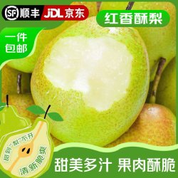 同甘园 JD/顺丰香梨山西红香酥梨 皮薄多汁 整箱9-10斤 精选单果100-150g 净8.5斤