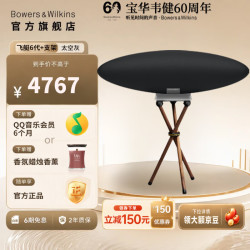 宝华韦健 Zeppelin Pro齐柏林飞艇第6代新款无线HIFI蓝牙智能音响家用客厅