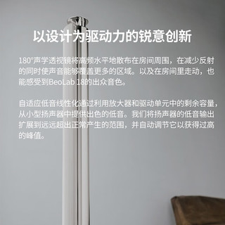 BANG&OLUFSEN BeoLab 18 无线蓝牙HIFI音箱