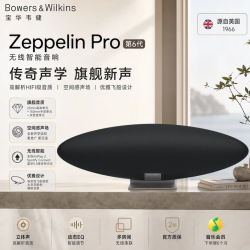 宝华韦健 Zeppelin Pro 6代 蓝牙音箱  太空灰