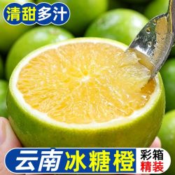 鲜美范 冰糖橙 哀牢山青皮冰糖橙 云南新鲜水果净重5斤/8斤