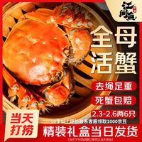 江问鱼 大闸蟹公3.0两/只 母2.0两/只 5对10只装 鲜活大闸蟹礼盒