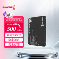 长城 GW600固态硬盘SATA笔记本电脑通用ssd硬盘高速读写128GB/256GB/512GB/1TB/2TB GW600固态硬盘